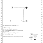 Sep 2023 Showmanship Walk, Trot Pattern